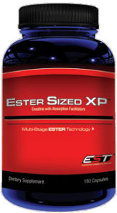 EST Estersized XP